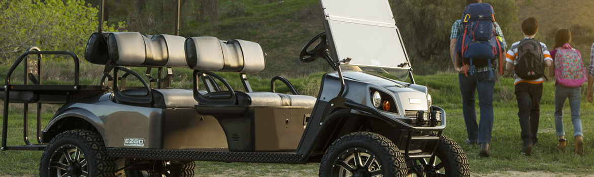 2018 EZ-GO for sale in Mikey's Motors, , Tennessee